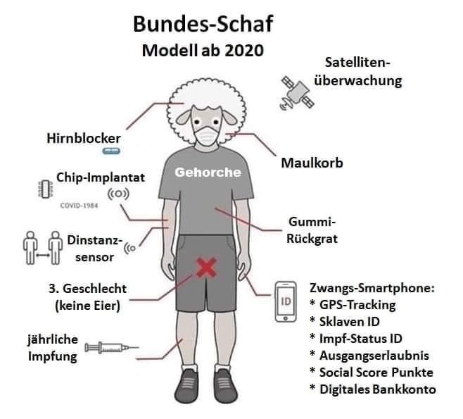 Bundesschaf-2020