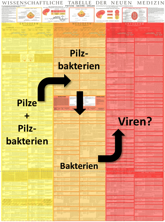 Diagnosetabelle-Mikroben