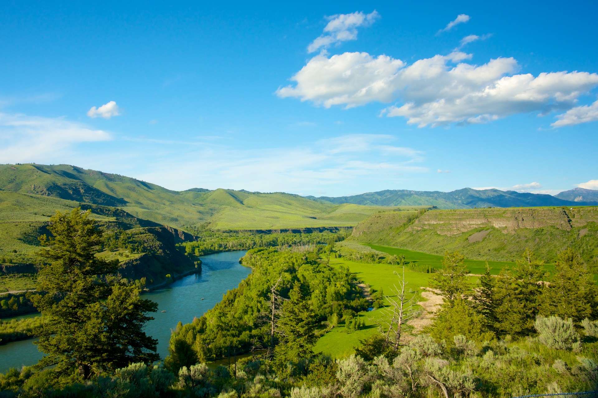 StockKosh-valley-green-wooded-river-valley